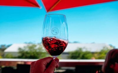 Red wine in a glass - Cellar Door - Ben Ean